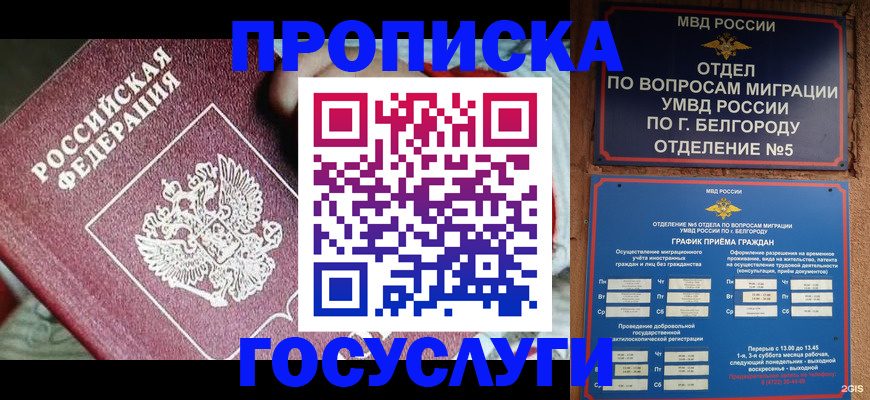 прописка гарантия в Подольске